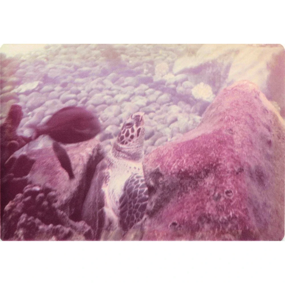 Vintage 1970s Hawaii Sea Turtle Boathouse Tour Lot of 8 Photos 3.5x5 - Picture 7 of 8